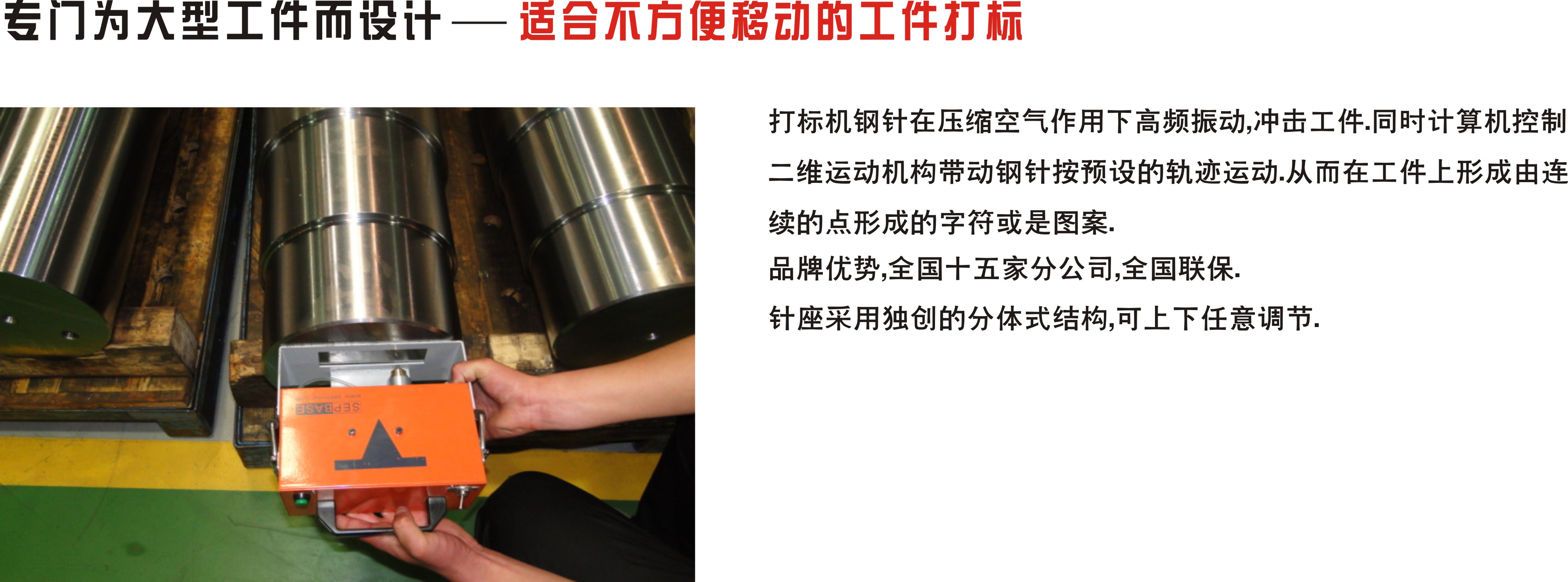 5563e23408cd4.jpg 04.jpg